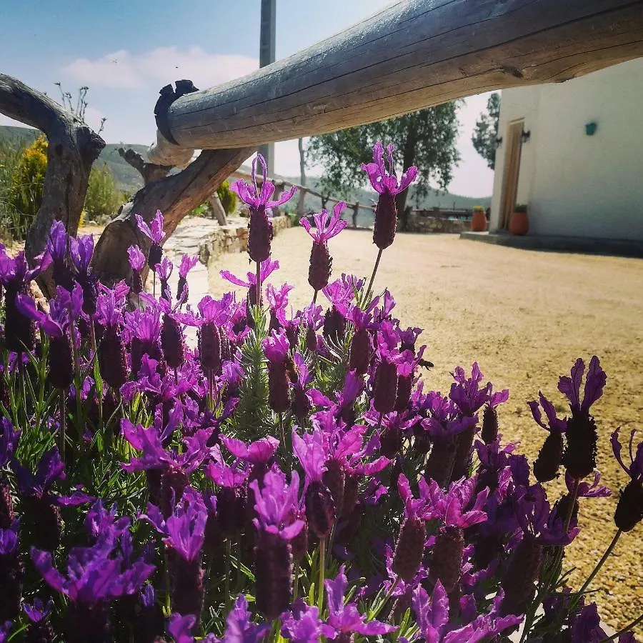 Cortijo Claudia Guest House Taberno Country house